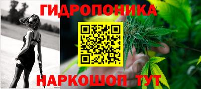молекула духа Обнинск
