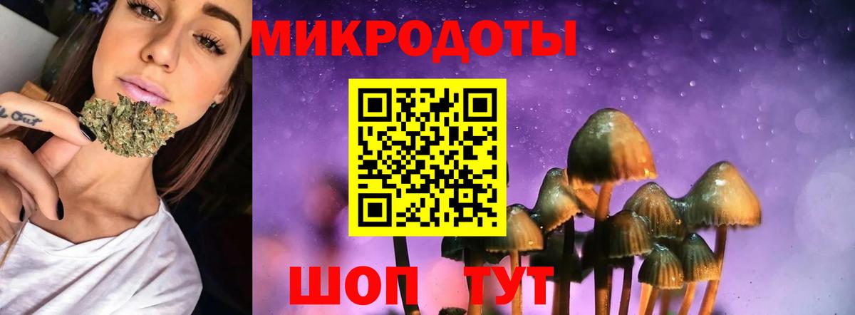 Псилоцибиновые грибы ЛСД Усть-Джегута